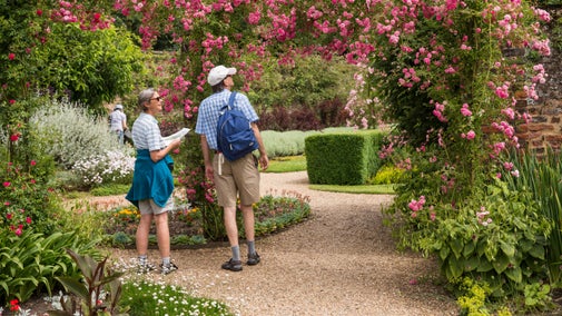 Two visitors in sunglasses looking up to admire the dark pink rose arch in Alexa's Rose garden in July at Peckover House and Garden, Cambridgeshire